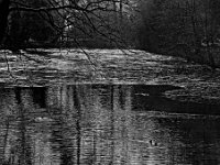 Park Maksimir, drugo jezero (Foto Zoran Mirković)